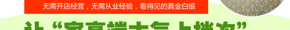 居尚美家3D涂料加盟納米墻藝藝術家居