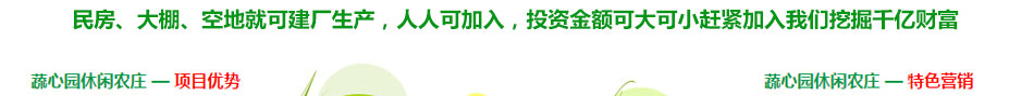 蔬心園芽苗菜加盟品牌支持全方位為您創富