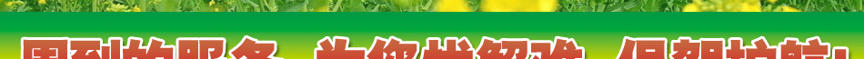 榨油機哪個牌子好？首特金旺經濟又實惠